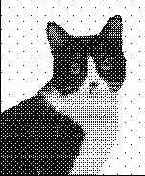 �������� ������ Photoshop