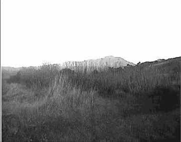 ��������� ������������ ������������ ������ �������, 