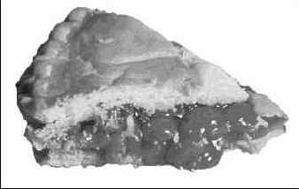 ������� ������� �������� � Photoshop