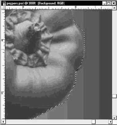 ������������ �������������� �������� ������� 