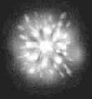 ����� �������� �������� ���������� �����