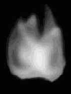 ����� �������� �������� ���������� �����