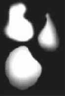 ����� �������� �������� ���������� �����