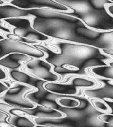 ������� ����������