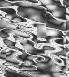 ������� ����������