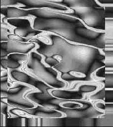 ������� ����������