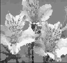 ������� ����������