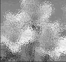 ������� ����������