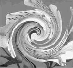 ������� ����������