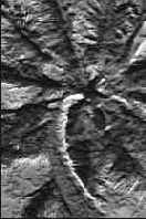 ������� �������� �������