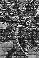 ������� �������� �������