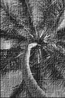 ������� �������� �������