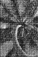 ������� �������� �������