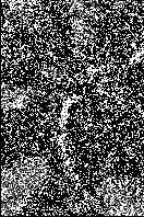 ������� �������� �������