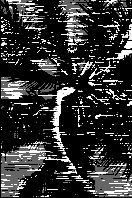 ������� �������� �������