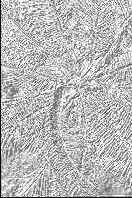 ������� �������� �������