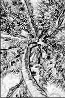 ������� �������� �������