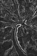 ������� �������� �������