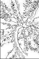 ������� �������� �������