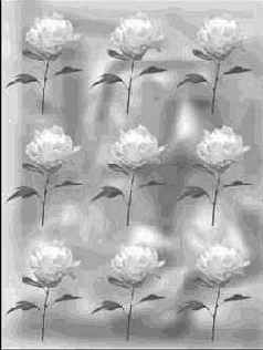 �������� �������� �������������� �����