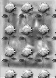 �������� �������� �������������� �����