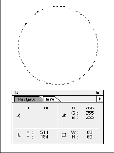 �����-��������