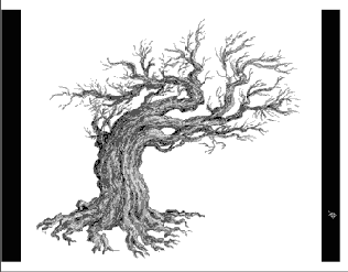 ������� �������� � Photoshop