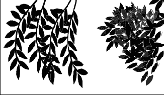 �������� ������ ������ � ����� ������� ��������� ������� ����������