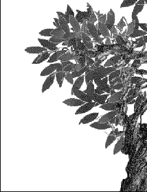 ��������� �������