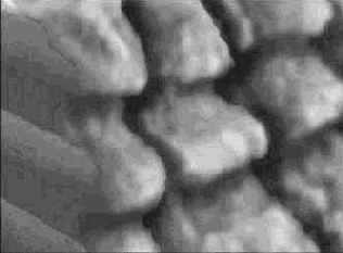 �������� �� ���������� ������