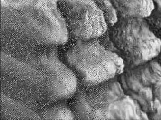 �������� �� ���������� ������