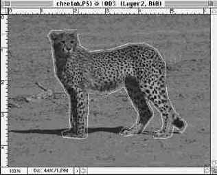 ������������ ���� ������� �����