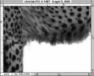 ��������� ������ �����