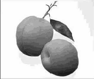 ������������ � ����� ��������������� ������