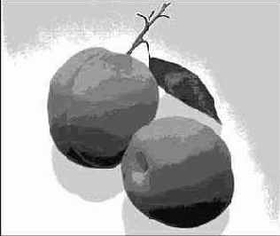 ������������ � ����� ��������������� ������