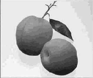 ������������ � ����� ��������������� ������