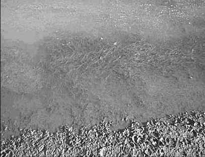 ������ �� ���� �� ������������� 