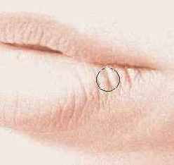 ������� �������� �� ��� ����������� 