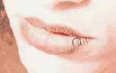 � ���. ���� ����� ����, 