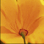 �������� ����� ����. ���������� ����� 