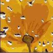 ����� ����� �������� ���� ������. 