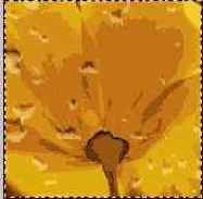 ���� ����� ���� ������ �������� 