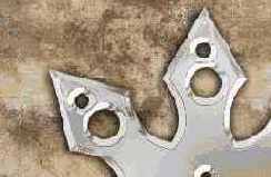 ���� ������, ������ �������� ������ 