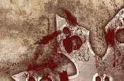 � �������� ����� ����� ����. 