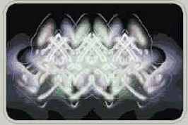 � �������� ����� ����. ����������� 