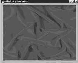 ���� ���� (Window)