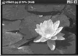 ����������� ������ ����� (Lasso)