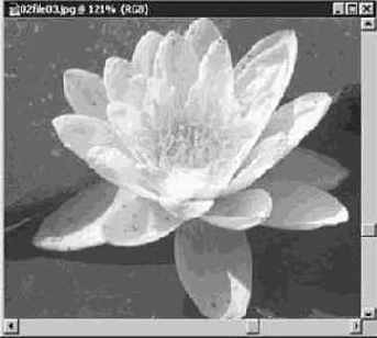 ����������� ������ ����� (Lasso)