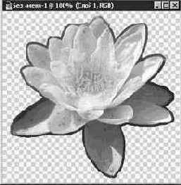 ����������� ������ ����� (Lasso)