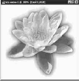 ���������� ������ �������� ������������ �����